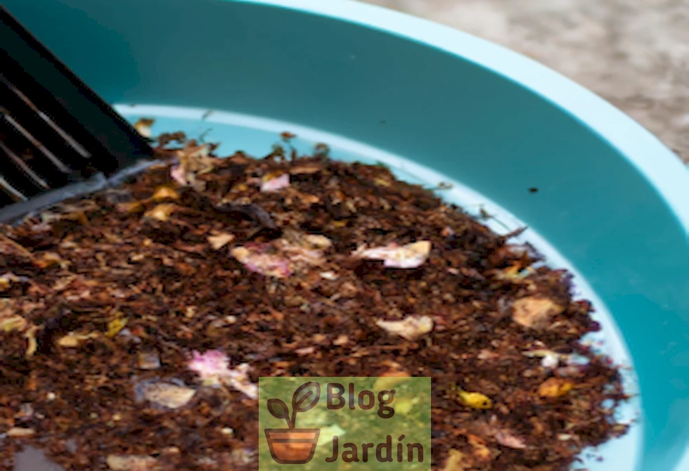Imagen de un recipiente con compost orgánico orgánico y agua para elaborar té de estiércol, una técnica natural para enriquecer la alimentación de tus plantas de forma sostenible.