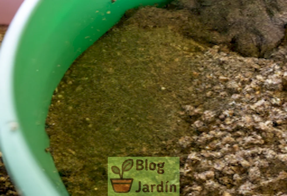 Imagen de un montón de estiércol fermentado en proceso de preparación para elaborar té de estiércol, una técnica orgánica para potenciar el crecimiento de las plantas en el jardín.