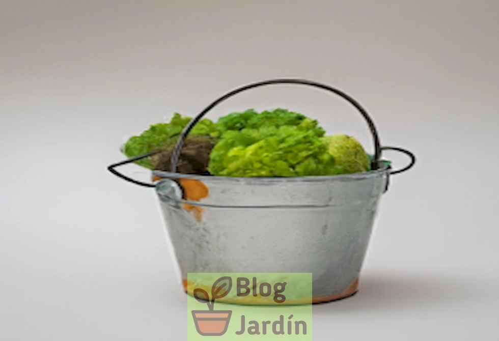 Solución natural para eliminar los olores desagradables del compost de manera eficiente.