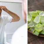 Aloe Vera Caída: 7 Razones Comunes y Cómo Solucionarlas
