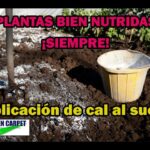 Azufre de Cal en Jardines: Cuándo y Cómo Aplicarlo