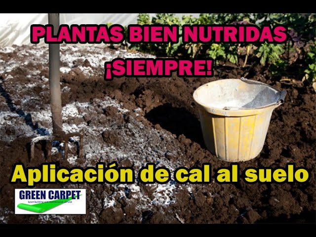 Azufre de Cal en Jardines: Cuándo y Cómo Aplicarlo