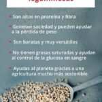 Beneficios y consejos sobre plantas perennes leguminosas