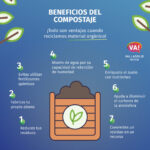 Beneficios y desventajas del compostaje: qué debes saber