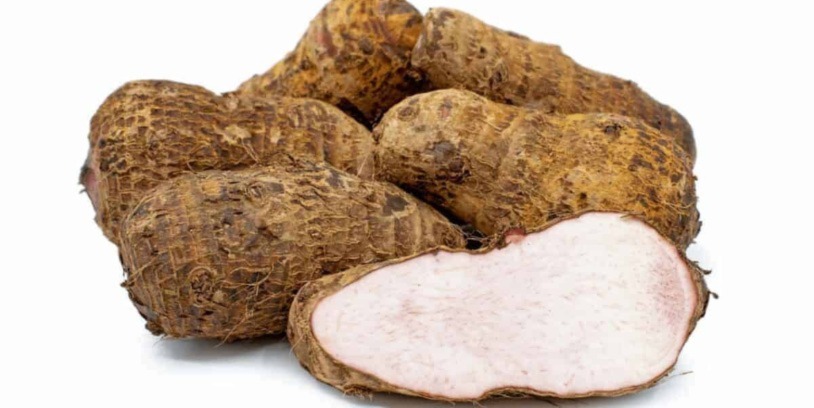 Beneficios y usos culinarios de la malanga