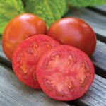 Buscas tomates sin semillas para cultivar en tu jardín