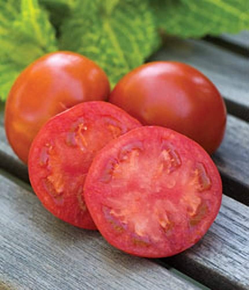 Buscas tomates sin semillas para cultivar en tu jardín