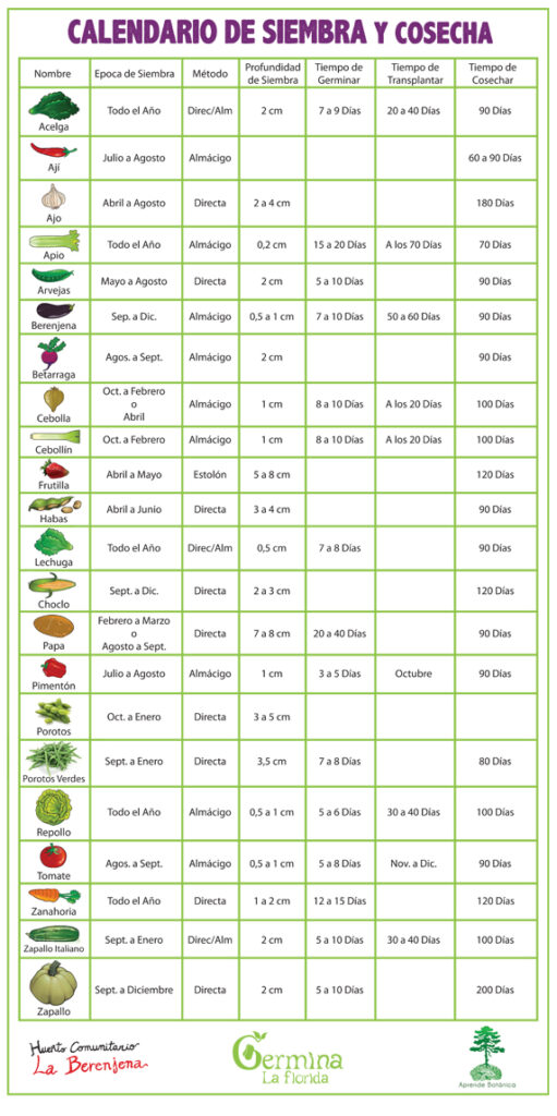 Calendario de siembra de hierbas en Florida, zona 9