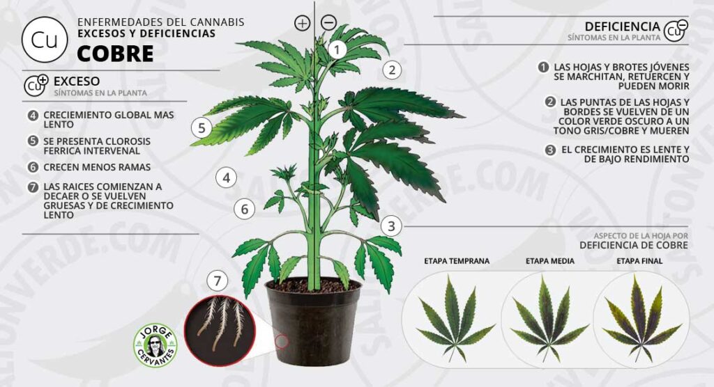 Cómo afecta el cobre a las plantas y al suelo del jardín