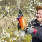 Cómo aplicar Plum Tree Fruit Spray correctamente