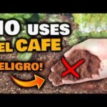 Cómo aplicar posos de café en el césped para mejorar su salud