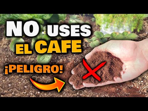 Cómo aplicar posos de café en el césped para mejorar su salud