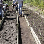 Cómo arar la tierra con doble excavación de forma manual