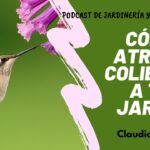 Cómo atraer polillas colibrí para embellecer tu jardín