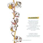 Cómo beneficia el algodón a tus plantas de forma natural