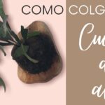 Cómo colgar un cuerno de alce utilizando una cadena