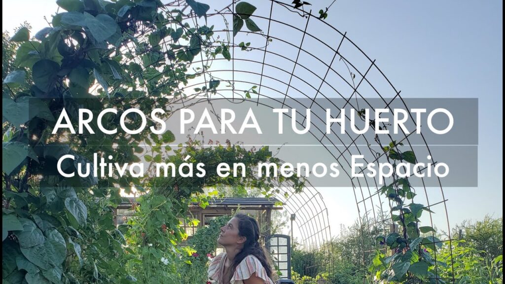 Cómo construir un arco para tomateras en el huerto