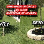 Cómo construir una berma alrededor de los árboles