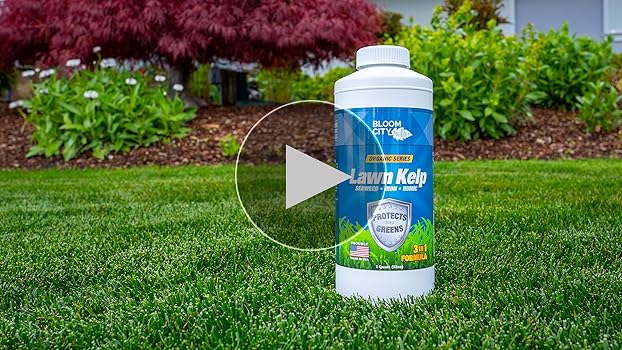 Cómo controlar el crecimiento de algas en céspedes