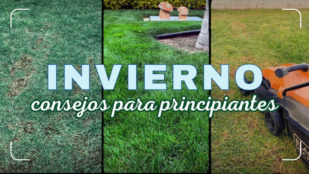 Cómo controlar el pasto de invierno en el jardín