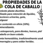 Cómo controlar la hierba uña de caballo de forma efectiva