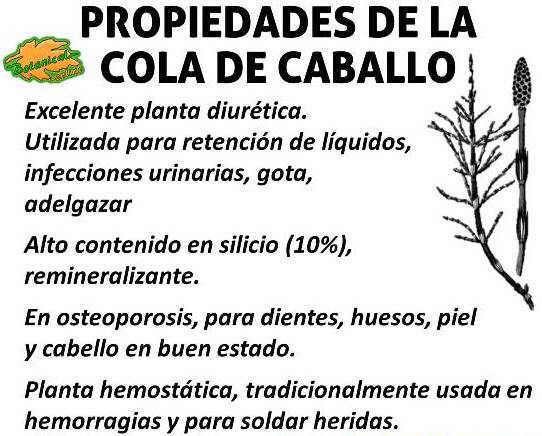 Cómo controlar la hierba uña de caballo de forma efectiva