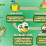 Cómo controlar las salivazas de forma natural en tus plantas