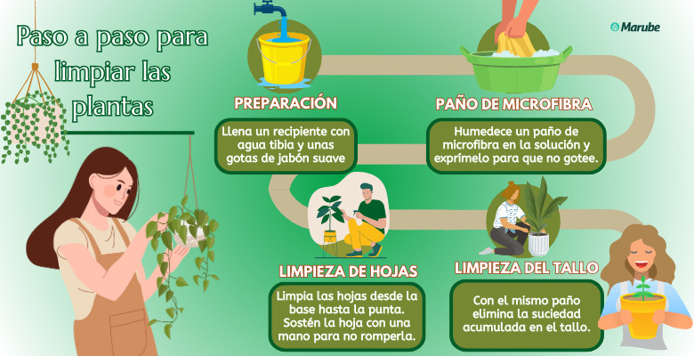Cómo controlar las salivazas de forma natural en tus plantas