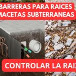 Cómo controlar los renuevos no deseados de árboles