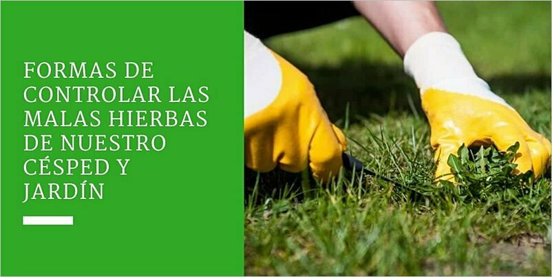 Cómo controlar malas hierbas en el jardín con herbicida