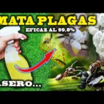 Cómo controlar plagas en el jardín sin naftalina