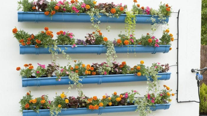 Cómo crear un jardín de canalones en casa de forma sencilla