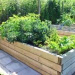 Cómo crear un jardín fragante accesible para ciegos