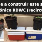 Cómo crear un sistema Deep Water Culture casero