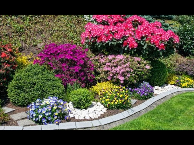 Cómo cuidar arbustos florecientes en un jardín