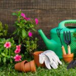 Cómo cuidar la hierba de la fuente para un jardín radiante