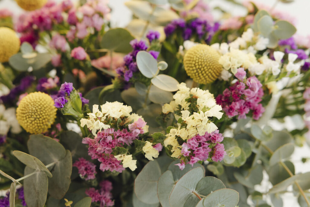 Cómo cuidar las flores de statice y cuál es su historia