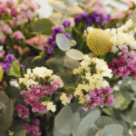 Cómo cuidar las flores de statice y cuál es su historia