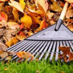 Cómo cuidar tu jardín en otoño si vives en la zona 7