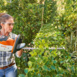 Cómo cuidar y mantener un seto de Firebush en su jardín