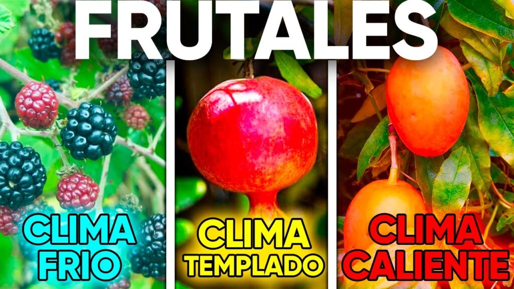 Cómo cultivar árboles florecientes en climas de la zona 5