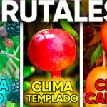 Cómo cultivar árboles florecientes en climas de la zona 5