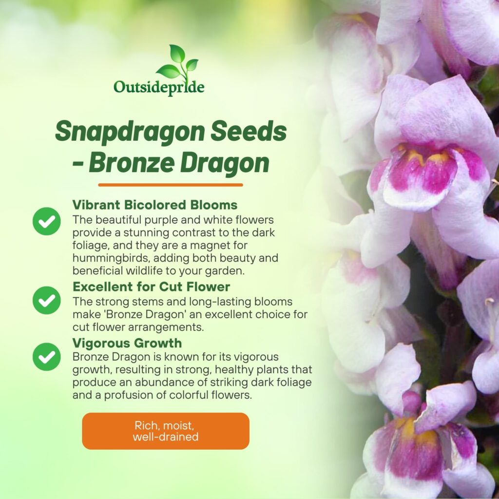 Cómo cultivar dragones a partir de semillas Snapdragon
