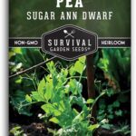 Cómo cultivar guisantes ‘Sugar Daddy’ con éxito