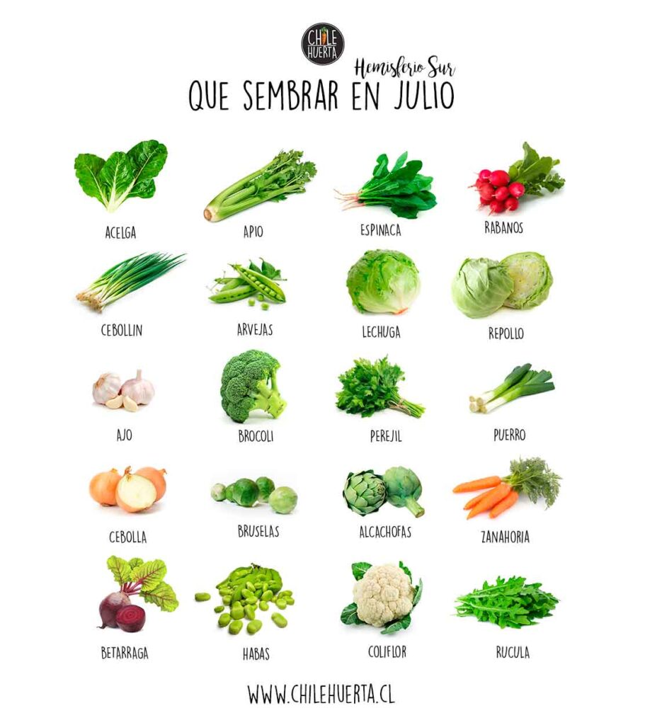 Cómo cultivar hortalizas de invierno en la Zona 9