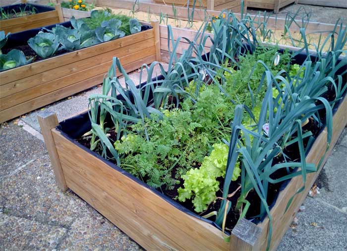 Cómo cultivar hortalizas en una terraza de manera sencilla
