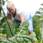 Cómo cultivar plantas rizadas de manera exitosa en tu jardín