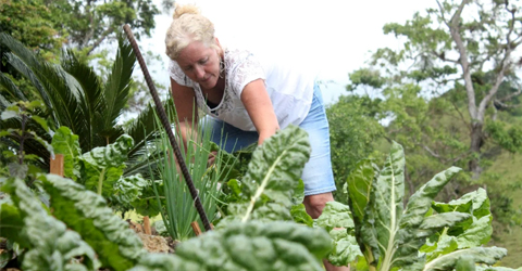 Cómo cultivar plantas rizadas de manera exitosa en tu jardín