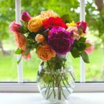 Cómo cultivar rosas en interiores de forma exitosa