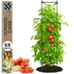 Cómo cultivar tomates Cherry: con jaulas o estacas